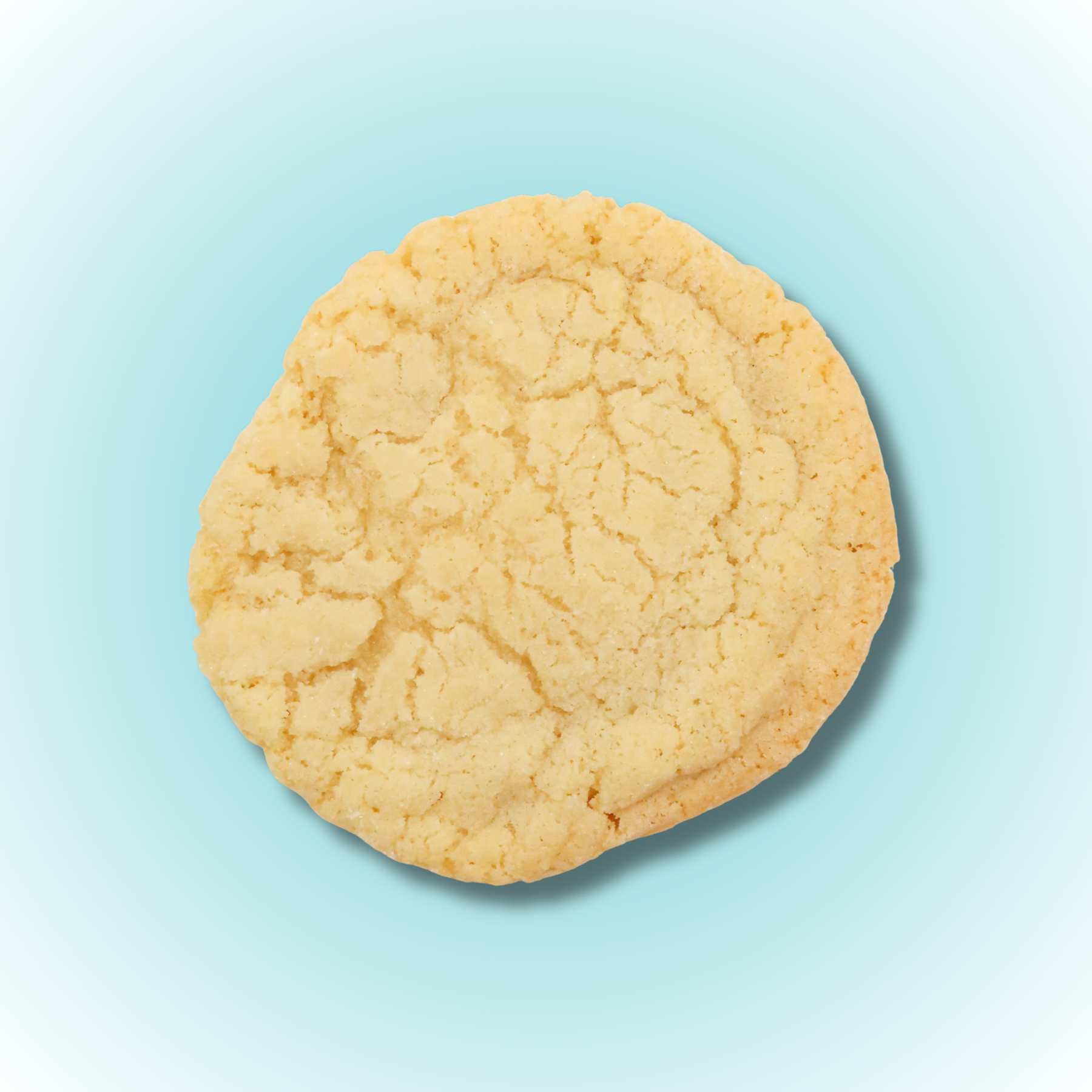 Sugar Cookies