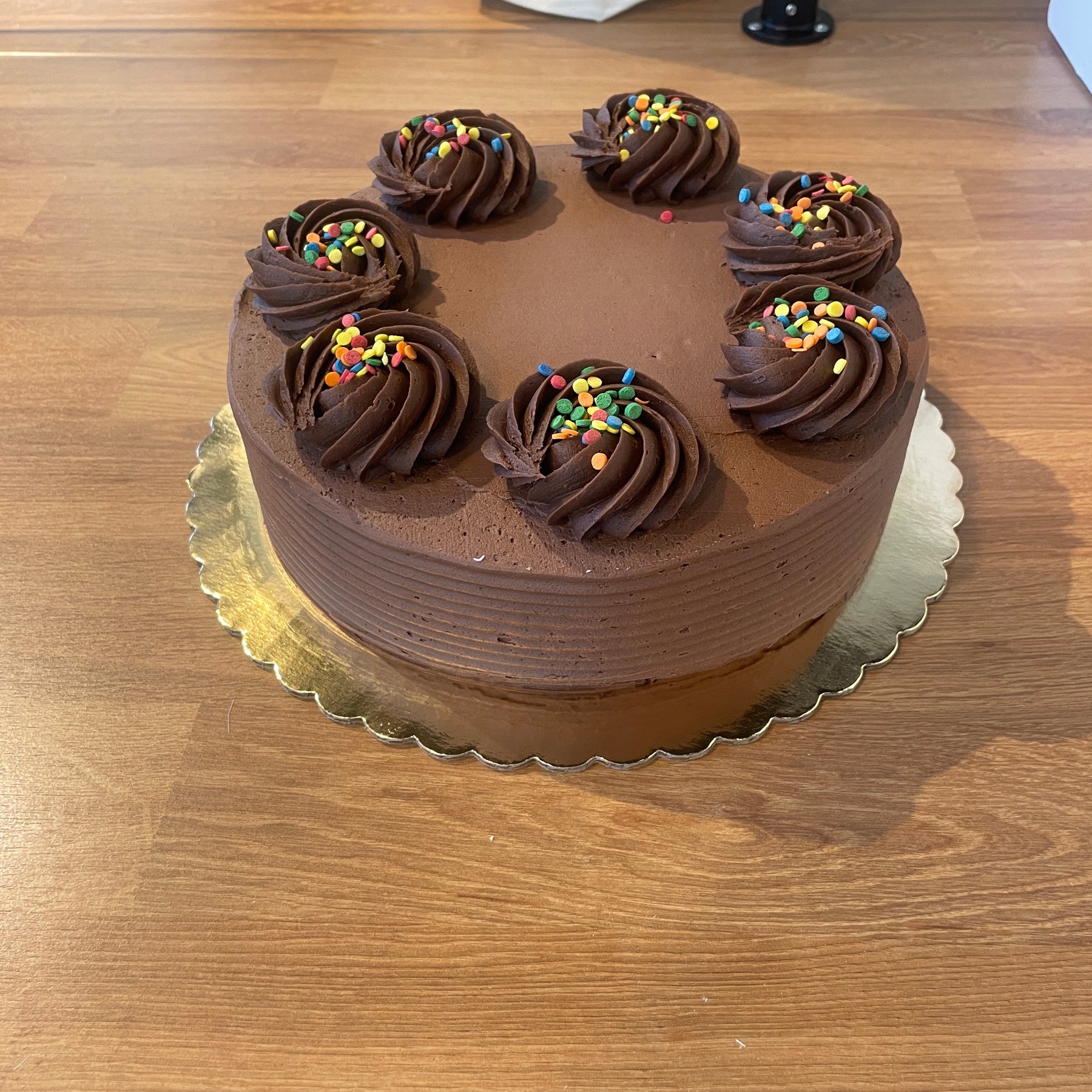 8” Chocolate - Short