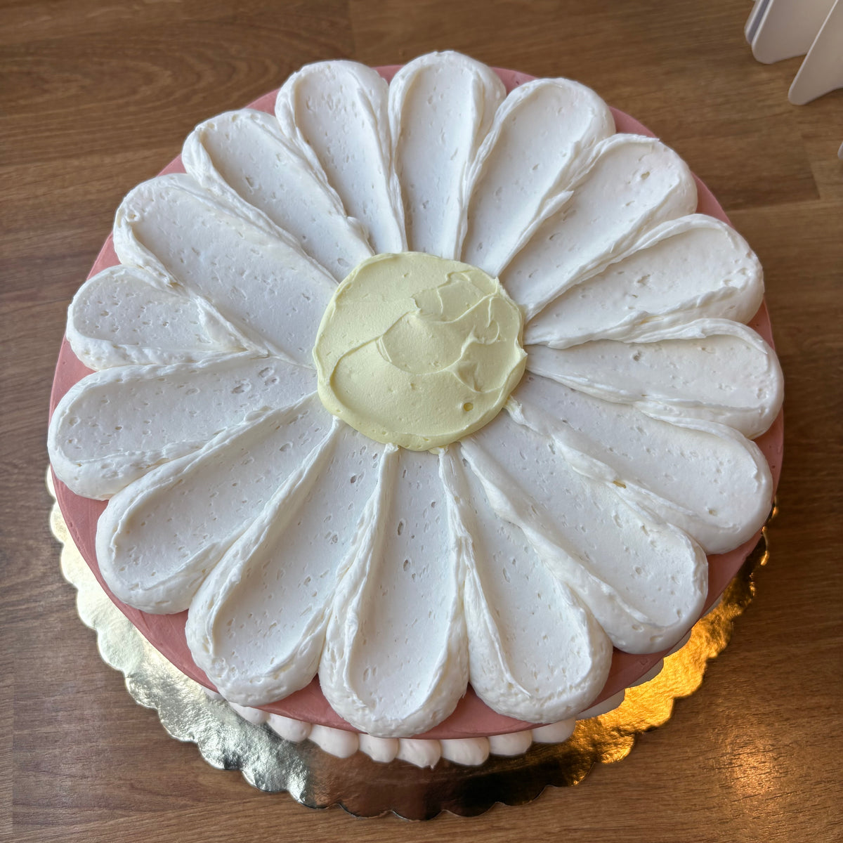 8” Chocolate- short