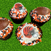 Cincinnati Football Themed Cupcakes