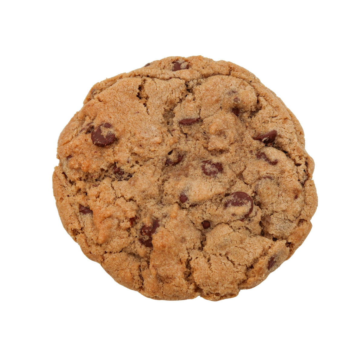 Chocolate Chip Cookie