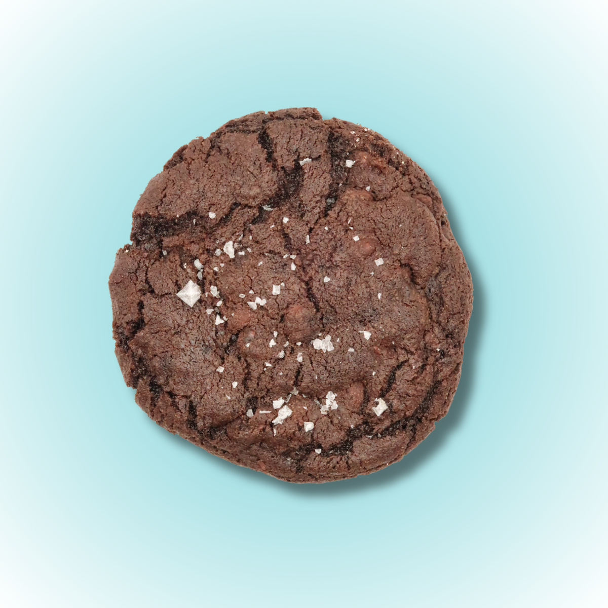 Salted Chocolate Caramel Cookie