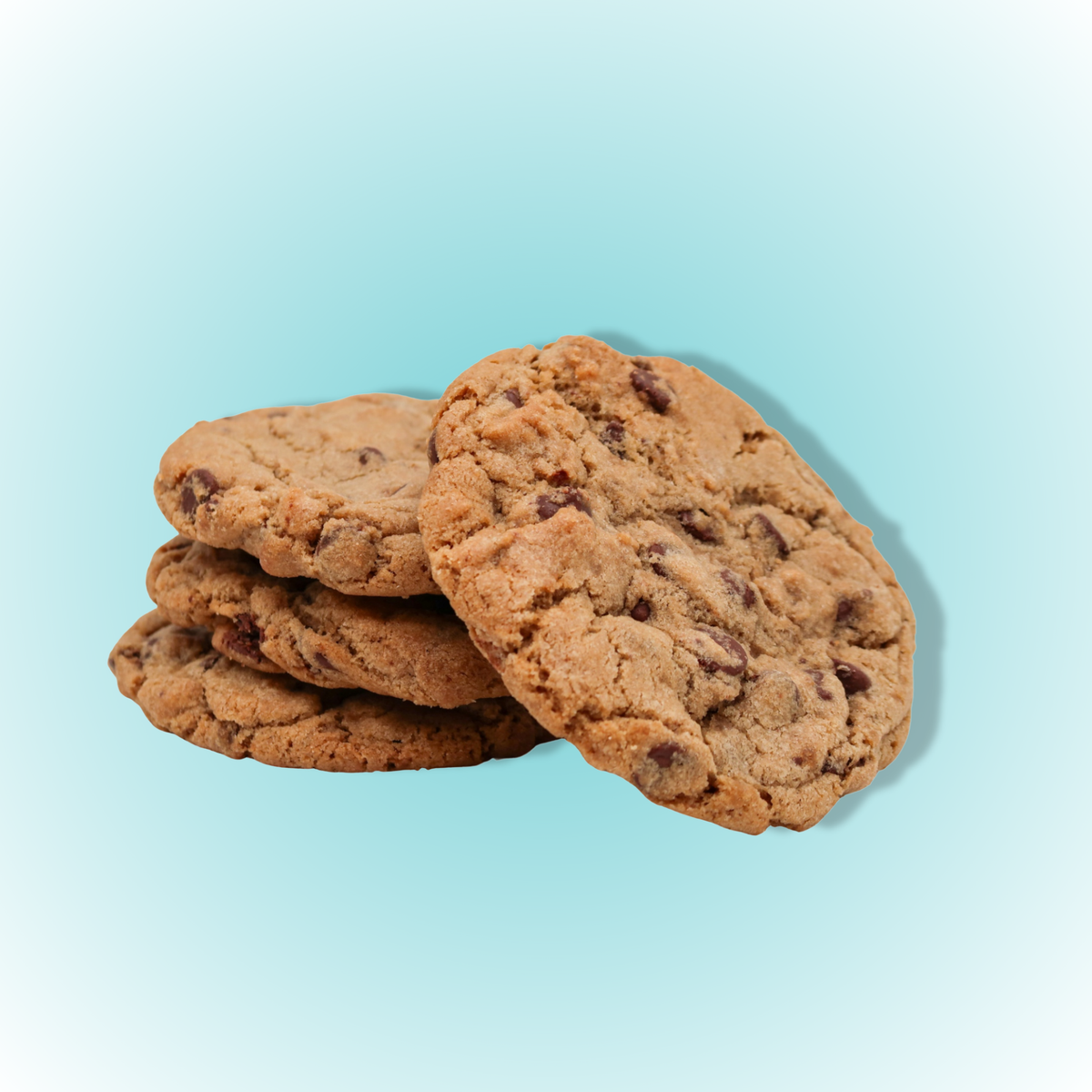 Chocolate Chip Cookie
