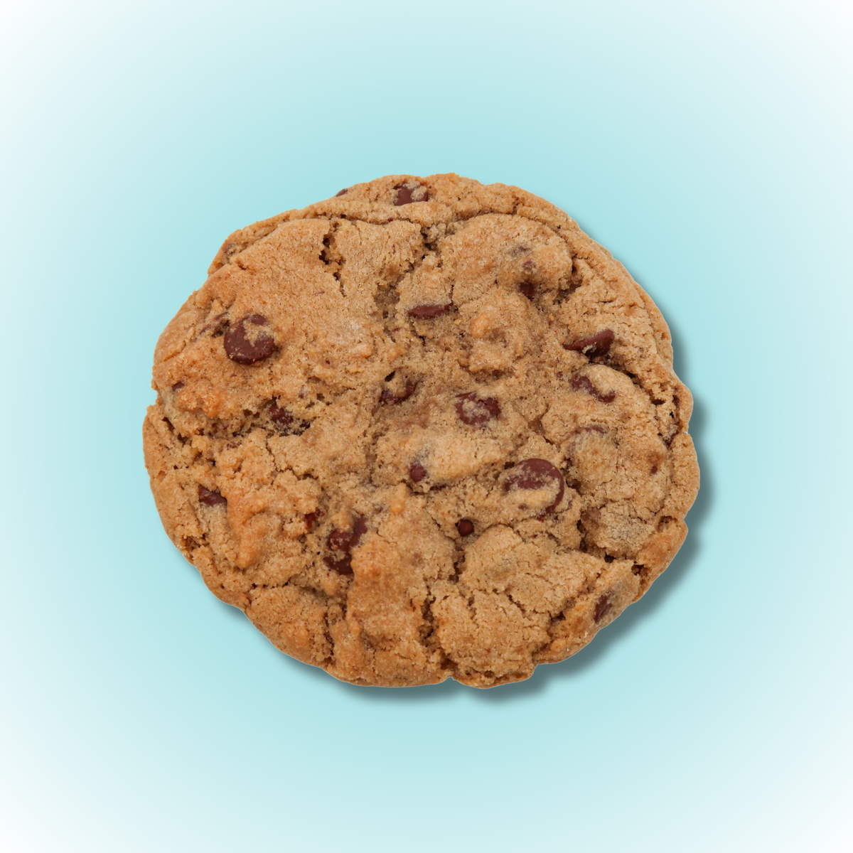 Chocolate Chip Cookie