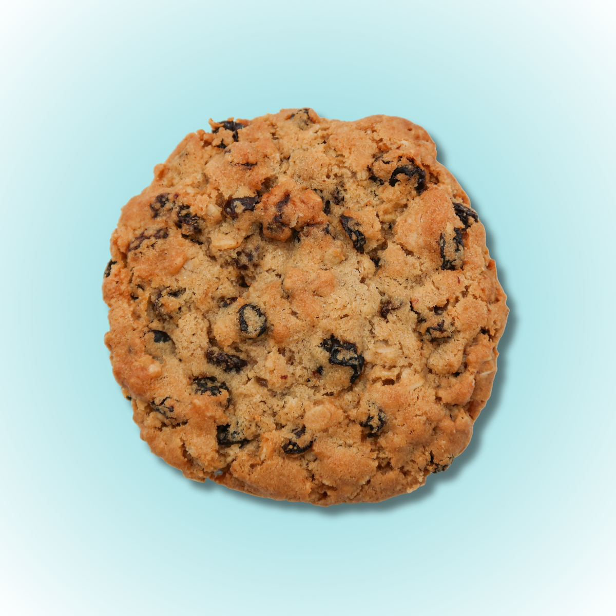 Oatmeal Raisin Cookie