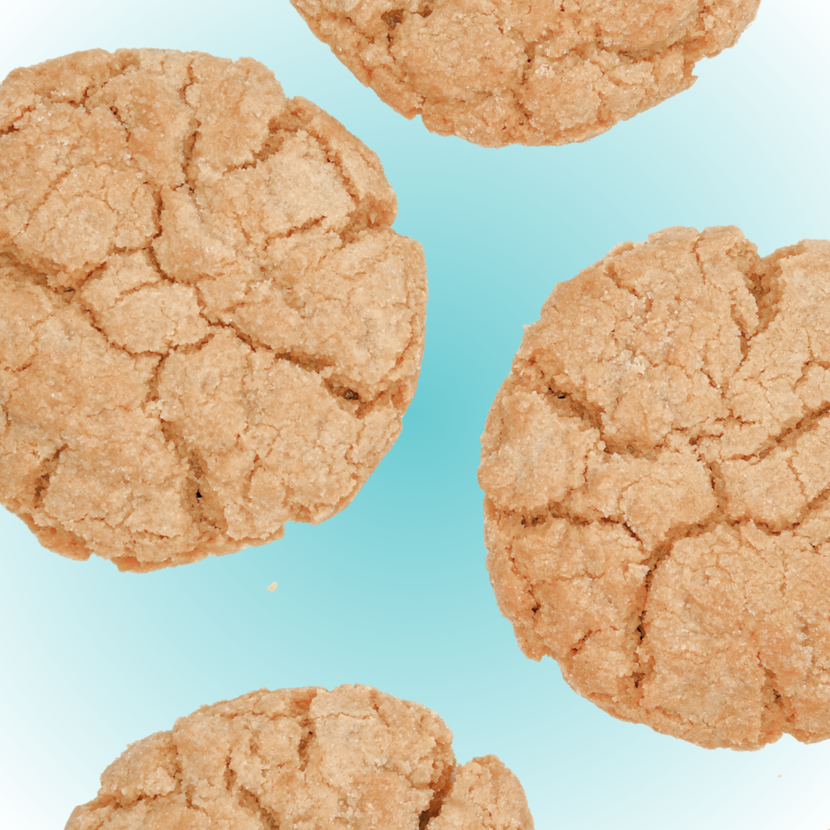 Peanut Butter Cookie