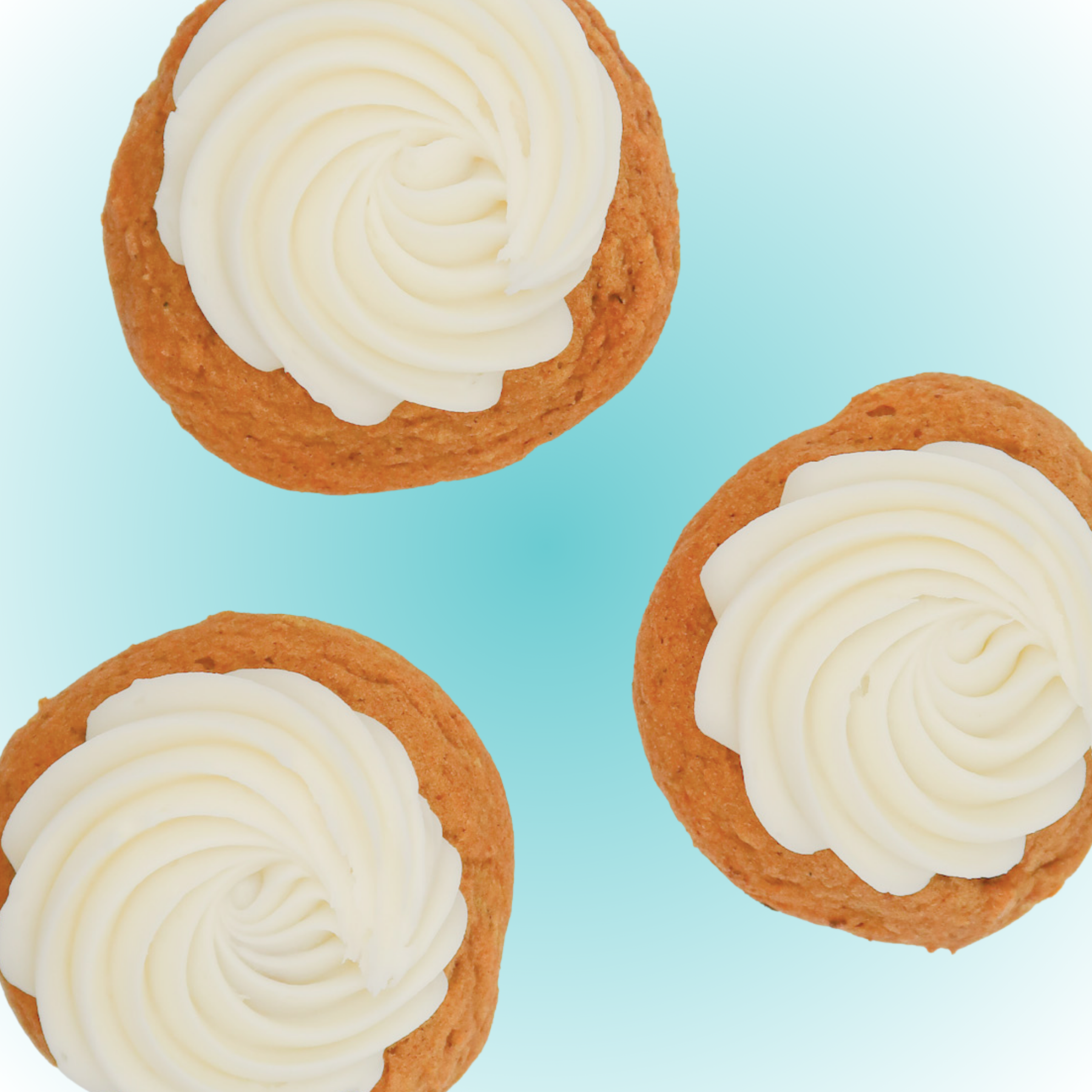 Soft Pumpkin Cookie