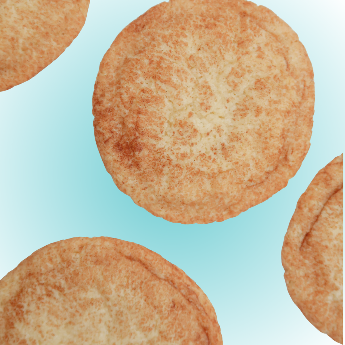Snickerdoodle Cookie