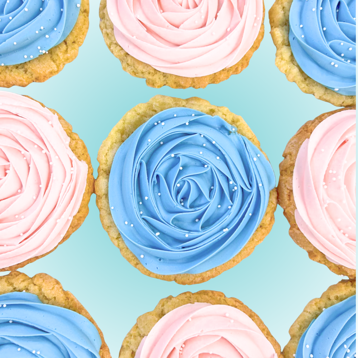 Gender Reveal Cookies