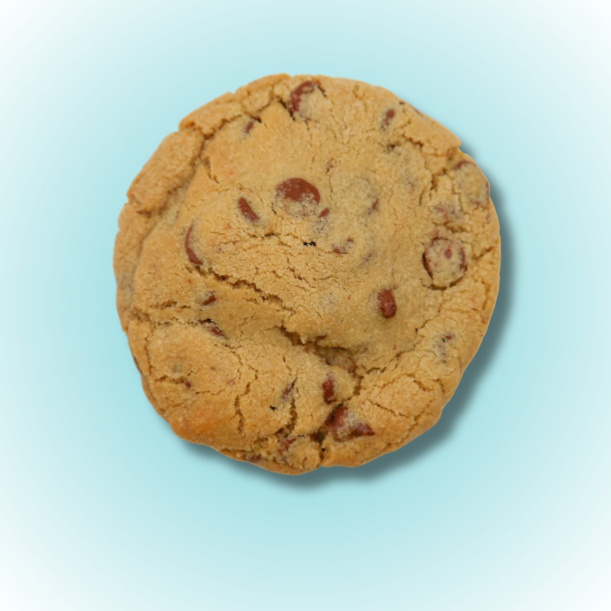 Nutella Chocolate Chip Cookie-Limited Time!