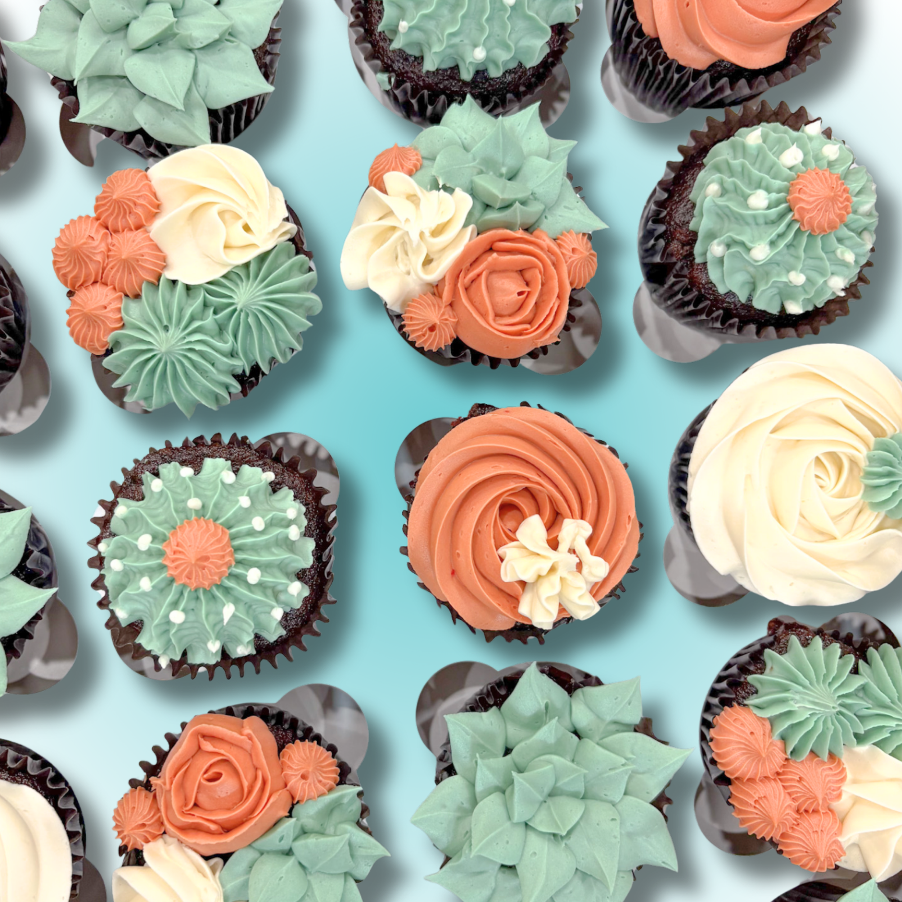 Succulent Cupcakes